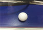 El plástico blanco moldeado parte el Teflon/las bolas plásticas sólidas de Ptfe coloreadas modificados para requisitos particulares